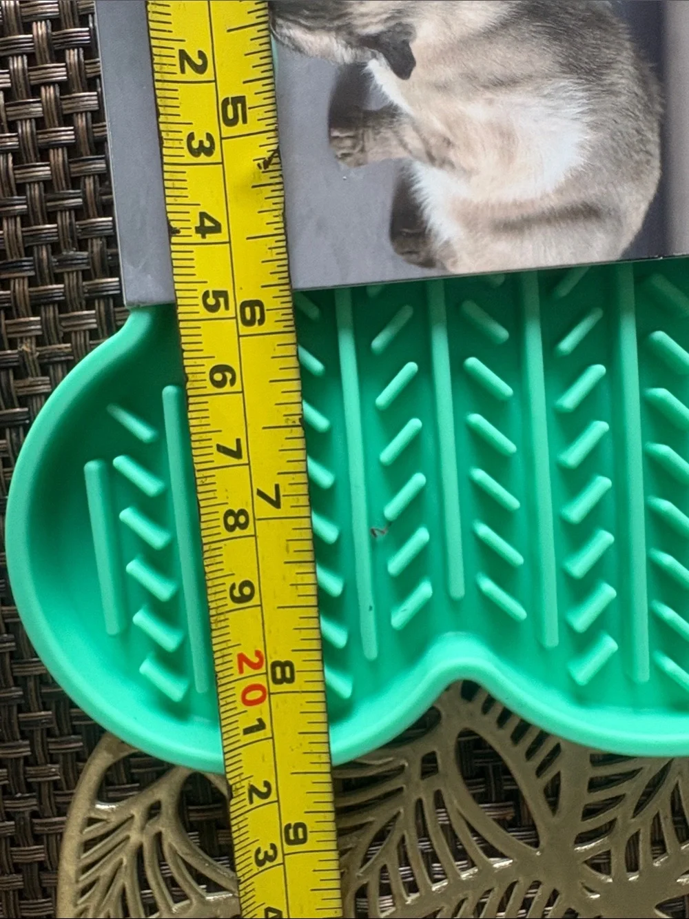 Teal Bone-Shaped Cat Lick Mat New